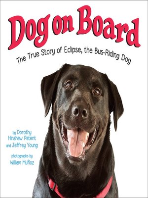 cover image of Dog on Board